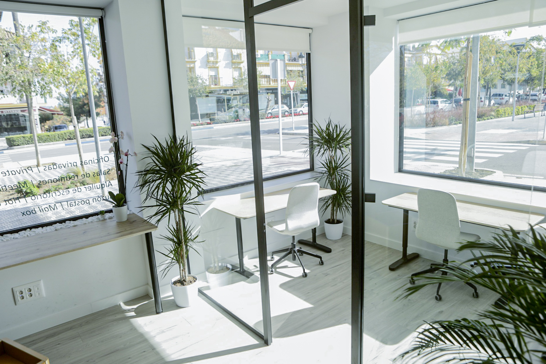Recepción de Concept Coworking